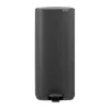 Brabantia Poljinämpärit^Bo poljinroskakori 30 l, Mineral Infinite Grey