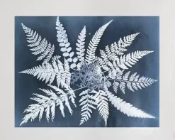Fine Little Day Julisteet^Fern star -juliste, 40 x 50 cm