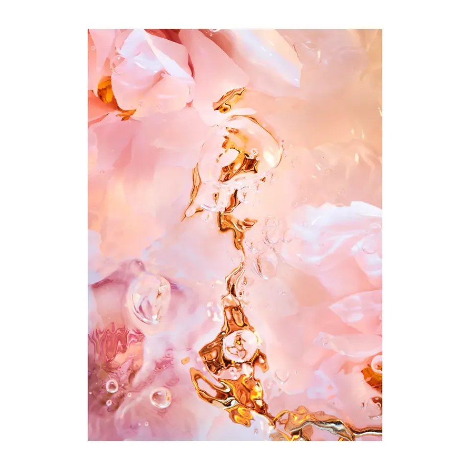 Paper Collective Julisteet^Flora Aquatica 02 juliste, 50x70 cm
