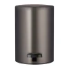 Blomus Poljinämpärit^Modo poljinroskakori, Poltettu metalli, 3 l
