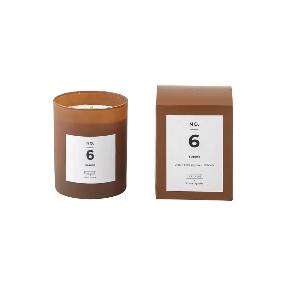 Illume x Bloomingville Tuoksukynttilät & Tuoksutikut^NO. 6 Sequoia -tuoksukynttilä, 200 g + Lahjalaatikko