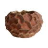 MUUBS Ruukut^Soil ruukku Ø18 cm, Rust