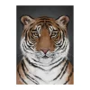 Kunskapstavlan® Julisteet^The alphabet watercolour juliste, 30x40 cm
