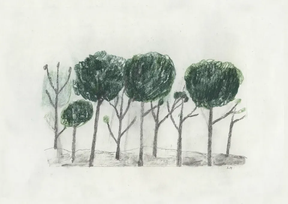 Fine Little Day Julisteet^Trees juliste 50x70 cm, Musta- off white