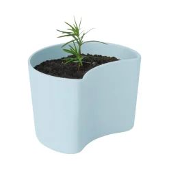 RIG-TIG Ruukut^YOUR TREE -ruukku siemenillä, Sininen (Mänty)